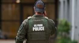 Two arrested after US Park Police officer shot in apparent DC ambush: report