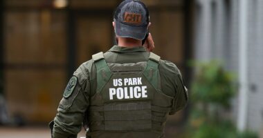 Two arrested after US Park Police officer shot in apparent DC ambush: report