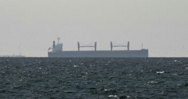 Two gas India-flagged gas tankers crossing the Strait of Hormuz