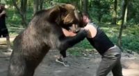 Tyson Fury's 6ft 6in boxing comeback opponent is filmed wrestling a 400kg BEAR in the woods in bizarre footage