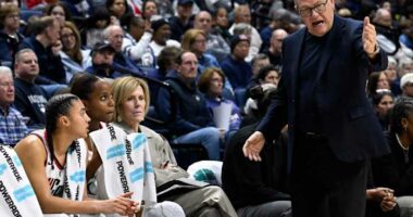 UConn, UCLA, Texas and South Carolina, all No. 1 seeds, top final AP Top 25 before March Madness