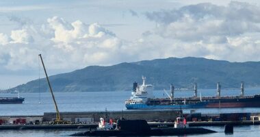 UK nuclear submarine deployed to Arabian Sea before Iran targets key US-UK base: reports