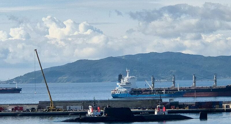 UK nuclear submarine deployed to Arabian Sea before Iran targets key US-UK base: reports