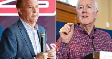 US Senate GOP primary will likely lead to Paxton-Cornyn runoff in Texas: poll