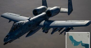 US deploys A-10 Warthogs, Apache helicopters to secure Strait of Hormuz