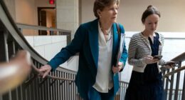 US lawmakers say they'll visit Taiwan before Trump's summit with China's Xi