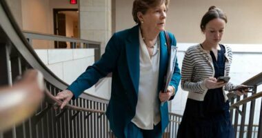 US lawmakers say they'll visit Taiwan before Trump's summit with China's Xi