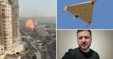 Ukraine knows how to stop Iranian Shahed drones, and is offering its help: Zelensky