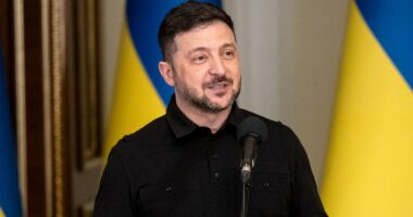 Ukraine peace talks on ‘situational pause’ as Middle East conflict intensifies: Kremlin