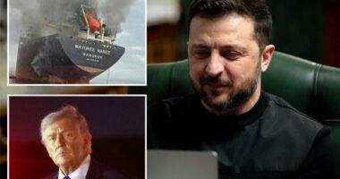 Ukraine ready to jump in to help US as other American allies drag feet, Zelensky tells Post