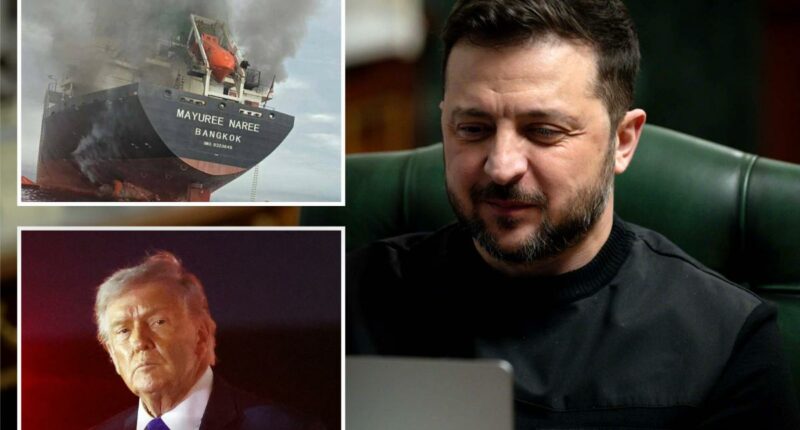 Ukraine ready to jump in to help US as other American allies drag feet, Zelensky tells Post