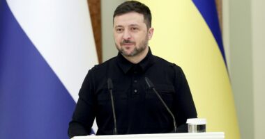 Ukraine sending drone team to help protect US bases in Jordan at Washington’s request, Zelenskyy says