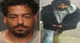 Unhinged suspect who allegedly clocked NYPD cop in head inside subway station is busted: sources