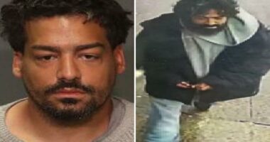 Unhinged suspect who allegedly clocked NYPD cop in head inside subway station is busted: sources