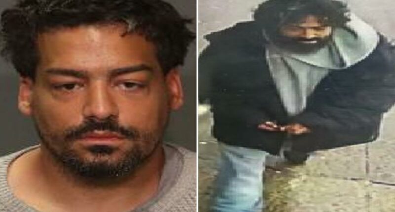 Unhinged suspect who allegedly clocked NYPD cop in head inside subway station is busted: sources