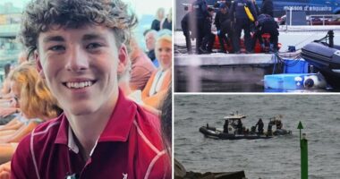 University of Alabama student James Gracey might have been drugged before death: report