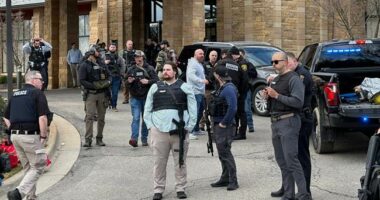 Update: DHS Reveals More Information on Michigan Synagogue Attacker