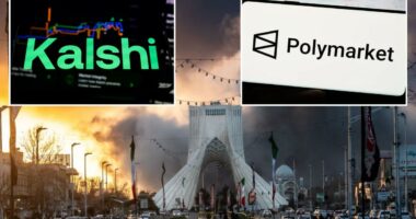 Users are getting suckered by insider trading