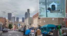 Video shows LA homeless living in sewers