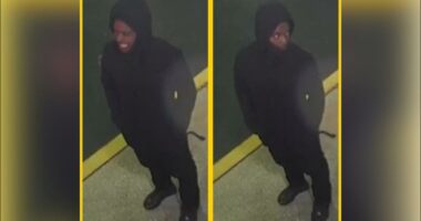 Video shows 'drive-thru gunman' in January St. Johns Town Center McDonald's shooting