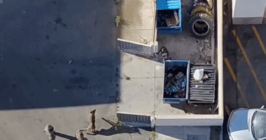 Video shows police drone track down madman after alleged rampage with stabbing, shooting, crash into store