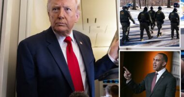 Voters oppose Trump on migrant raids, early Iran strikes: poll