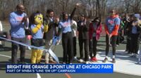 WNBA All-Star Host Committee, Chicago Park District team up to unveil city's 1st 'Line 'Em Up' basketball court at Hamilton Park
