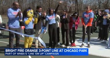 WNBA All-Star Host Committee, Chicago Park District team up to unveil city's 1st 'Line 'Em Up' basketball court at Hamilton Park