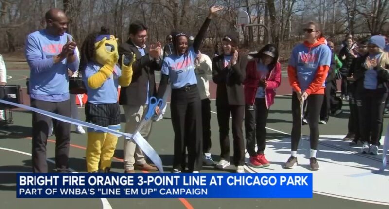 WNBA All-Star Host Committee, Chicago Park District team up to unveil city's 1st 'Line 'Em Up' basketball court at Hamilton Park