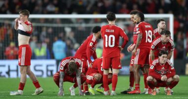 Wales 1-1 Bosnia and Herzegovina (PENS 2-4): Craig Bellamy's World Cup dream is shattered as hosts miss out on penalties AGAIN after letting ticket to the United States slip through their grasp