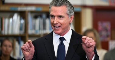 Wall Street guru mocks Gavin Newsom