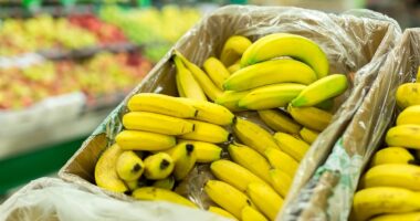 Warning signs of low potassium, the vital trace mineral that can cut your risk of stroke by 20 per cent... that millions of people don't eat enough of