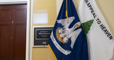 Watch: Speaker Blasts Dems for Shutting Down DHS Amid Iranian Threats