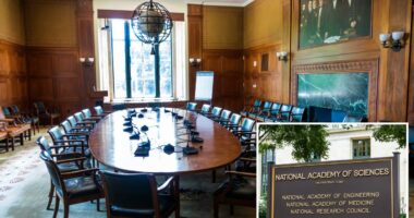 Watchdog targets taxpayer-funded National Academies over DEI, climate and transgender spending