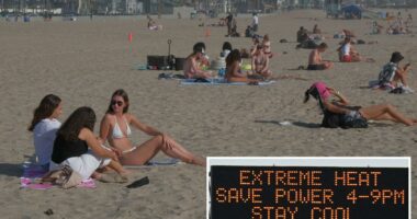 Weather expert issues terrifying warning for California heat wave