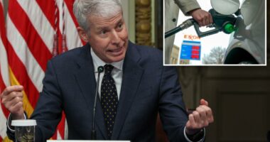 'Weeks, not months' before gas prices come down, Energy Secretary Chris Wright says