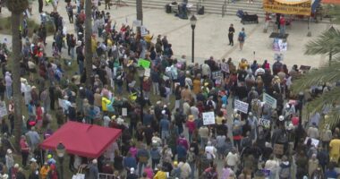 'We've got to stand up': No Kings protest marches through downtown Jacksonville