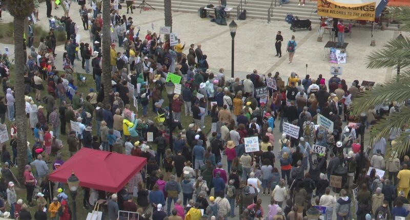 'We've got to stand up': No Kings protest marches through downtown Jacksonville