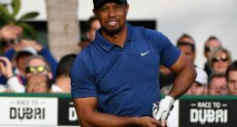 Celebrity Net Worth logo