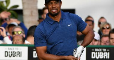 Celebrity Net Worth logo