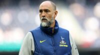 What Must Tottenham’s Next Manager Fix To Keep Them Up?