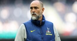 What Must Tottenham’s Next Manager Fix To Keep Them Up?