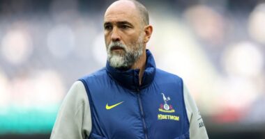 What Must Tottenham’s Next Manager Fix To Keep Them Up?