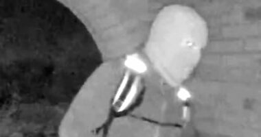 What REALLY happened to Nancy Guthrie? GUY ADAMS sifts the clues