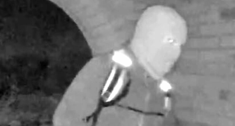 What REALLY happened to Nancy Guthrie? GUY ADAMS sifts the clues