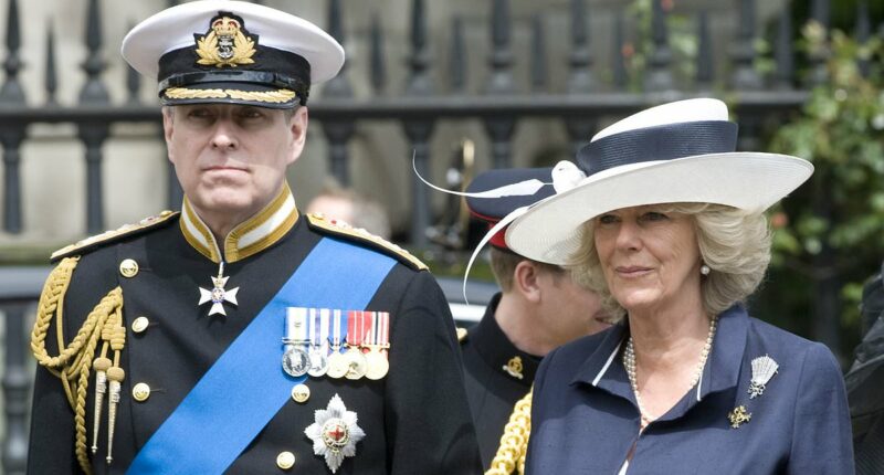 What does Camilla REALLY think of Andrew? Queen's thinly veiled remark on Epstein scandal comes after years of tension with 'nasty' ex Duke - and her skipping Eugenie's wedding