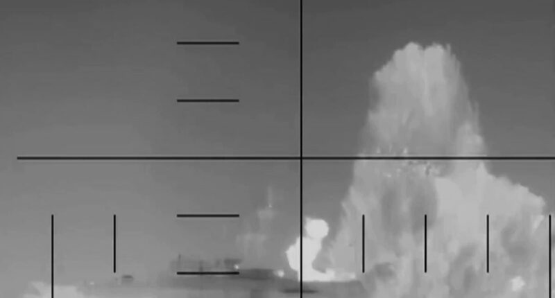 What sailors 'would have experienced when US torpedoed Iranian ship'