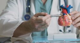 What to know about the new cholesterol screening guidelines to prevent heart disease