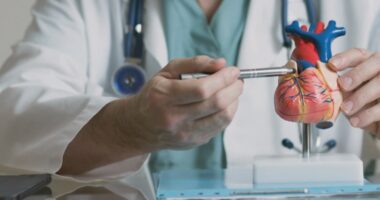 What to know about the new cholesterol screening guidelines to prevent heart disease