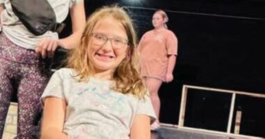 Wheelchair-bound girl banned from getting on stage with rock band